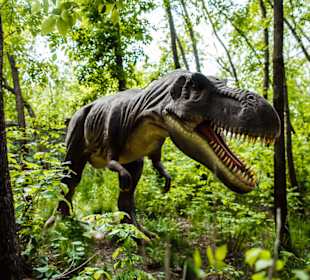 Universal's Islands of Adventure