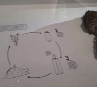 Museum für Gestaltung