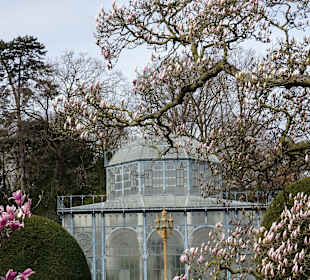 Wilhelma Stuttgart