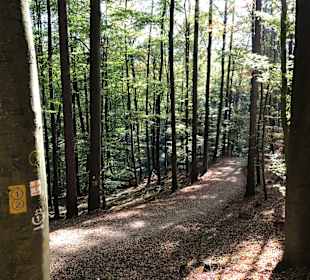 Wandern Seeheim-Jugenheim