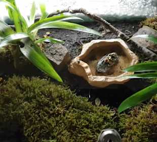 Exotarium