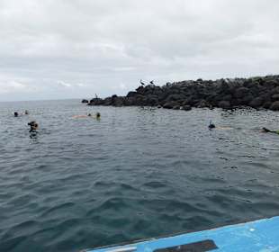 Schnorcheln vor Isla Lobos