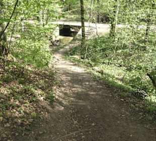 Wanderweg Hochgehwachsen