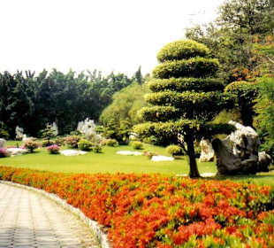 The Million Years Stone Park