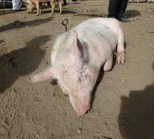 Mir geht es noch gut