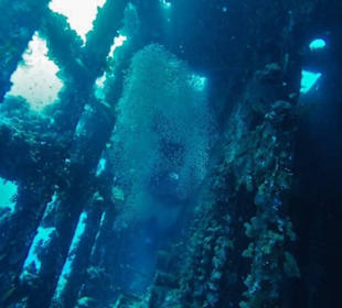 Wrecks