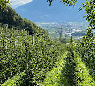 Wandern Naturno / Naturns