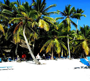 Isla Saona