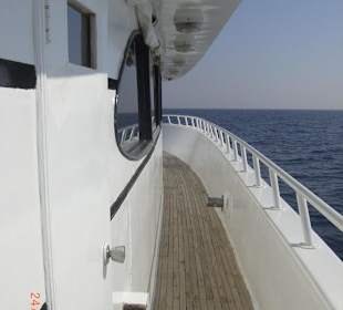 Delphintour - das Boot