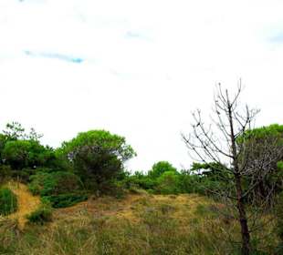 Ende September 2010 Inspirationen