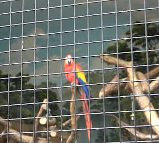 Zoologischer Stadtgarten