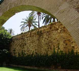 Kathedrale der Heiligen Maria 'La Seu' Garten