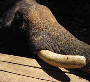 Warten auf den Rückweg