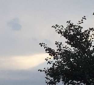 Ciel roses espagne