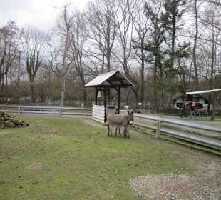 Tierpark Bad Schönborn