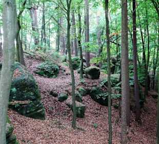 Rundgang durch die Ebnether Felsenkeller