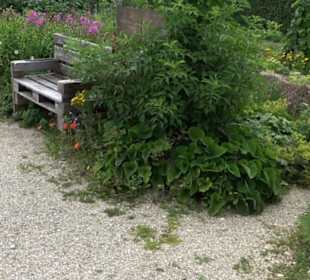 ALB-GOLD Naturgarten