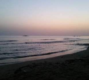 Strand Stalis