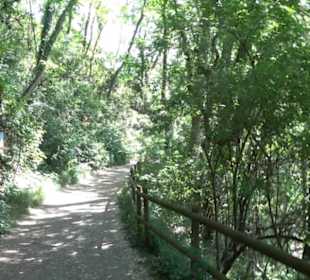 Früchtetrauf - Wurmlinger Kapellenwegle