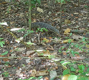 Ausflug mit Begegnung