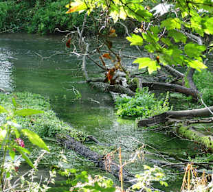 Wandern Lauingen