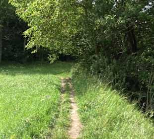 Wanderweg Ammerbucher Gigeleswegle