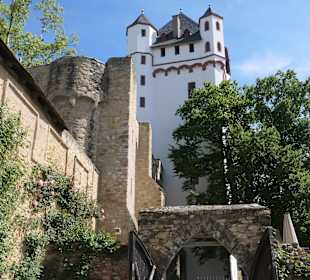 Die Kurfürstliche Burg Eltville