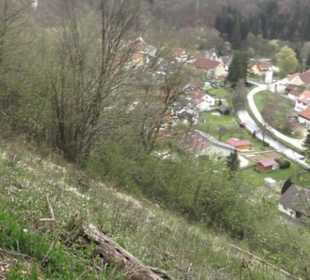 Burgruine Hohenhundersingen