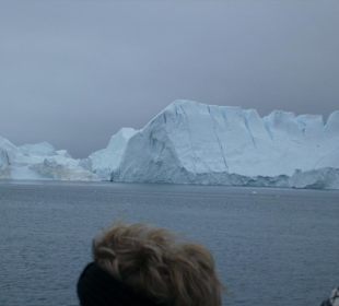 Unwarscheinlicher Anblick