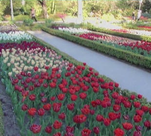 Real Jardín Botánico