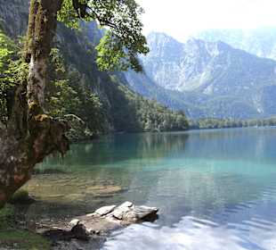 Obersee