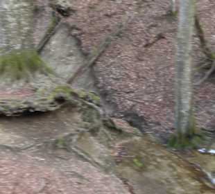 Bad Uracher Wasserfall