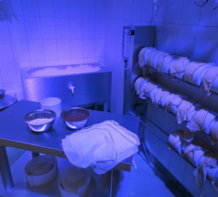 Blick in eine kleine Käserei im Museum