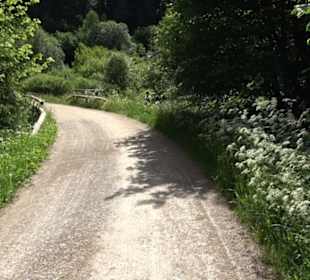 Wanderung Klosterquelle Klosterreichenbach