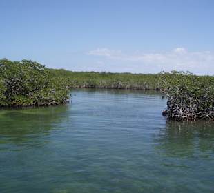 Unterwegs mit dem Glasboot