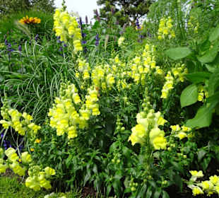 Rundgang durch den Park der Gärten