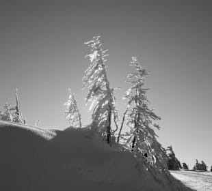 Auf dem Brocken--eiskalt