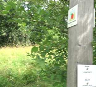 Premiumspazierweg Früchtetrauf-Leisawegle