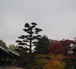 Parkanlage Planten un Blomen