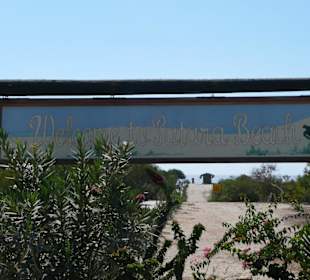 Willkommen im Paradies