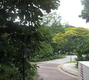 Zum Botanischen Garten