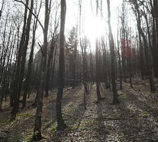 Bruchhauser Steine
