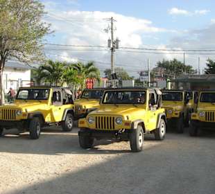 Jeeps