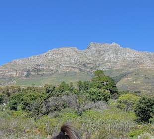 Hop On Hop Off Stadtrundfahrt in Kapstadt