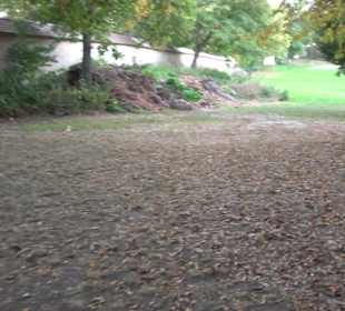Klosterpark Altheim