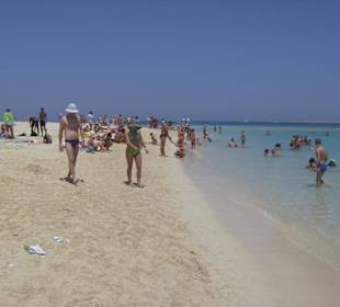 Ausflug Giftun Insel