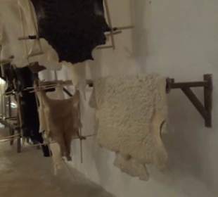 Erdgeschoss - Häute + Felle