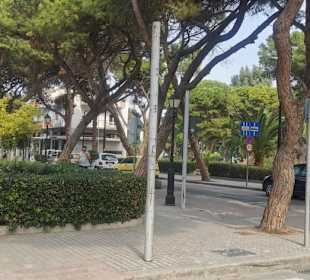 Unterwegs im Hafengebiet von Kos