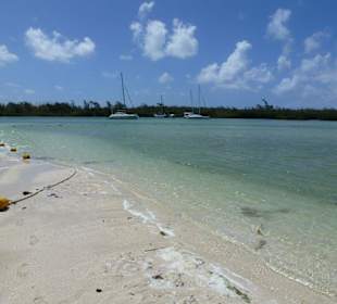 Ile aux Cerfs