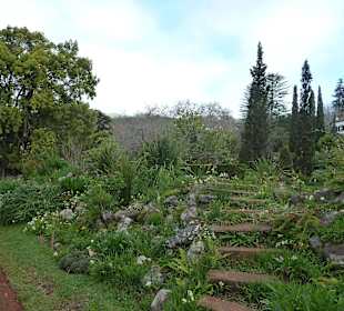 Blick durch den Garten